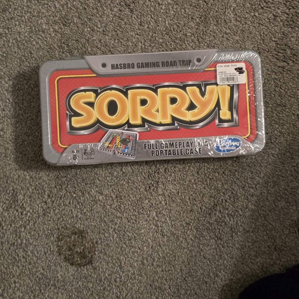 On the go Sorry game